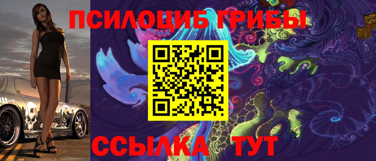 Псилоцибиновые грибы прущие грибы Приморско-Ахтарск