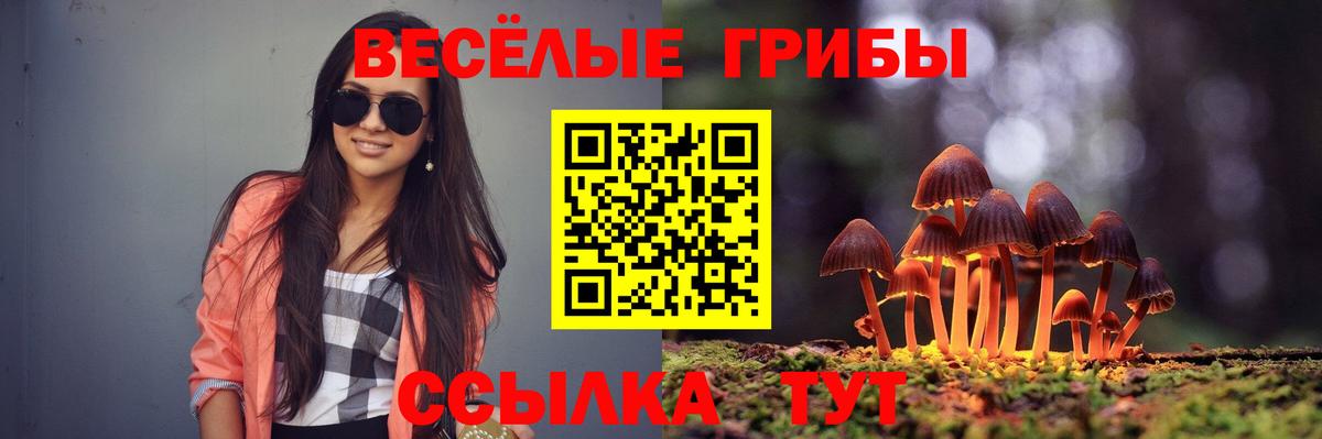 закладка  Вход с VPN  Приморско-Ахтарск  Псилоцибиновые грибы прущие грибы  Галлюциногенные грибы MAGIC MUSHROOMS 